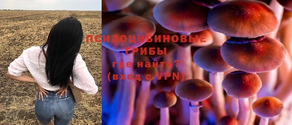 apvp Алексеевка