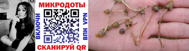 Псилоцибиновые грибы мухоморы  Ирбит 
